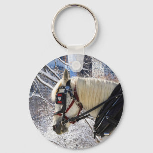 Chaveiro Cavalo de carruagem nevado do inverno no Central