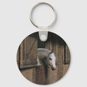 Chaveiro Cavalo de cinza na porta estável