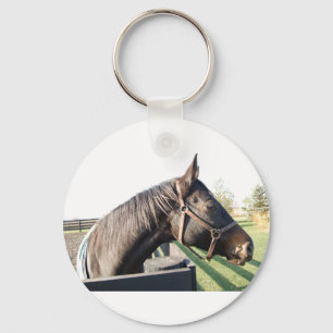 Chaveiro Cavalo fazenda