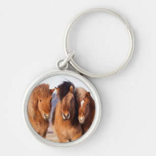 Chaveiro Cavalo islandês durante o inverno