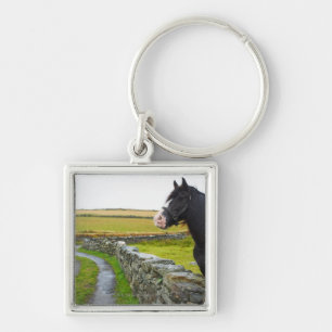 Chaveiro Cavalo na fazenda em Inglaterra rural