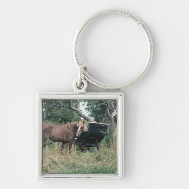 Chaveiro Cavalo no campo com carrinho (Frente)