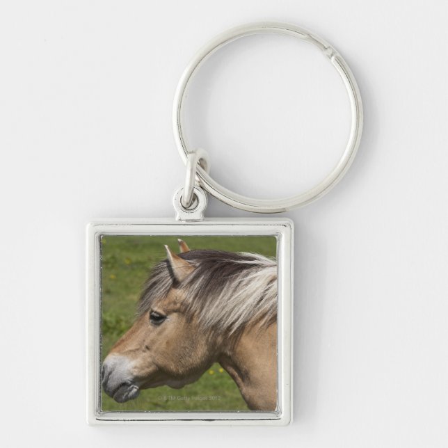 Chaveiro Cavalo norueguês do fiorde (Frente)