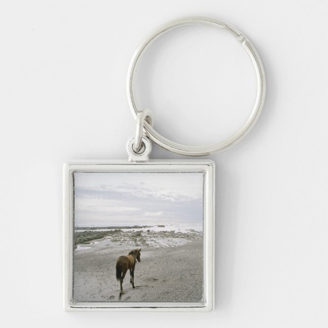 Chaveiro Cavalo que anda na praia (Frente)