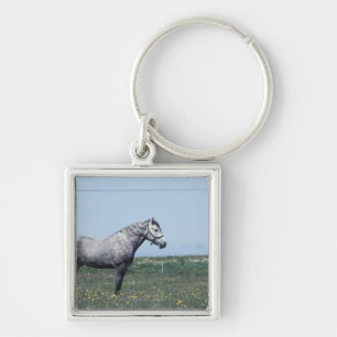 Chaveiro Cavalo que está no campo