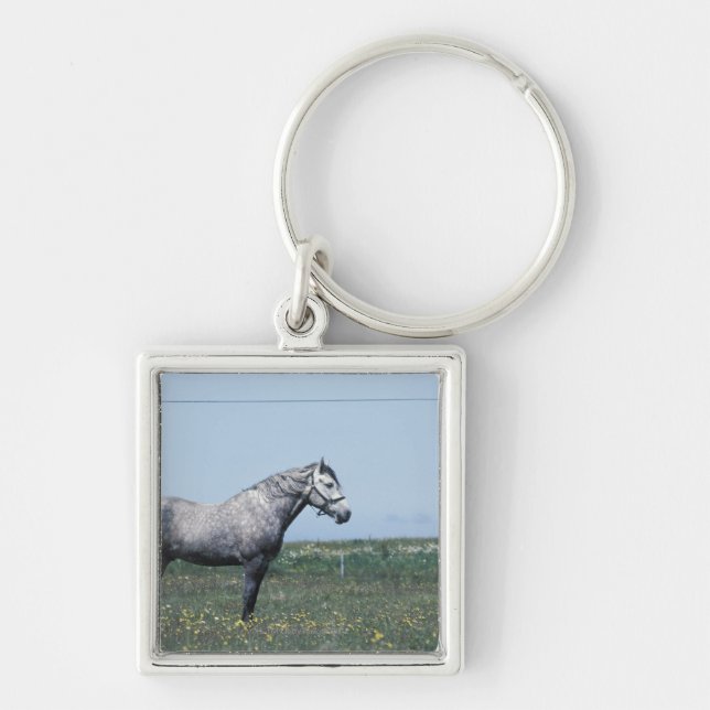 Chaveiro Cavalo que está no campo (Frente)