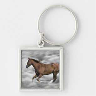 Chaveiro Cavalo Running