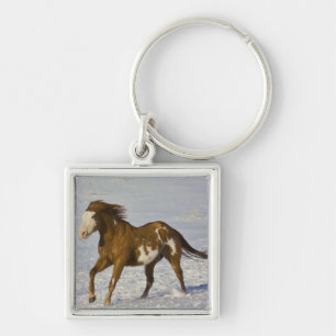 Chaveiro Cavalos Correndo na Neve