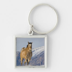 Chaveiro Cavalos Correndo na Neve