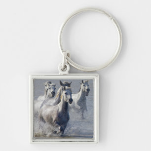 Chaveiro Cavalos de Camargue que funcionam na região
