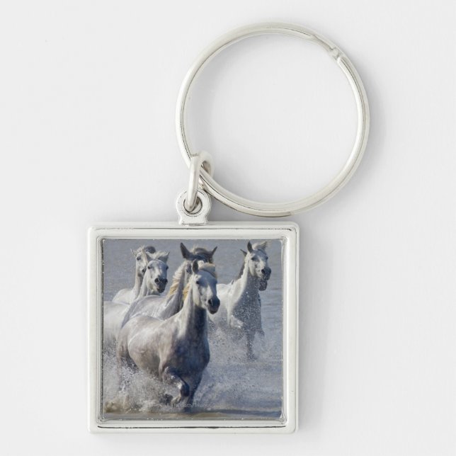 Chaveiro Cavalos de Camargue que funcionam na região (Frente)