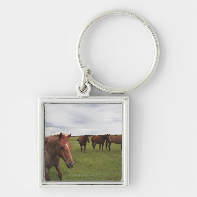 Chaveiro Cavalos em um campo (Frente)