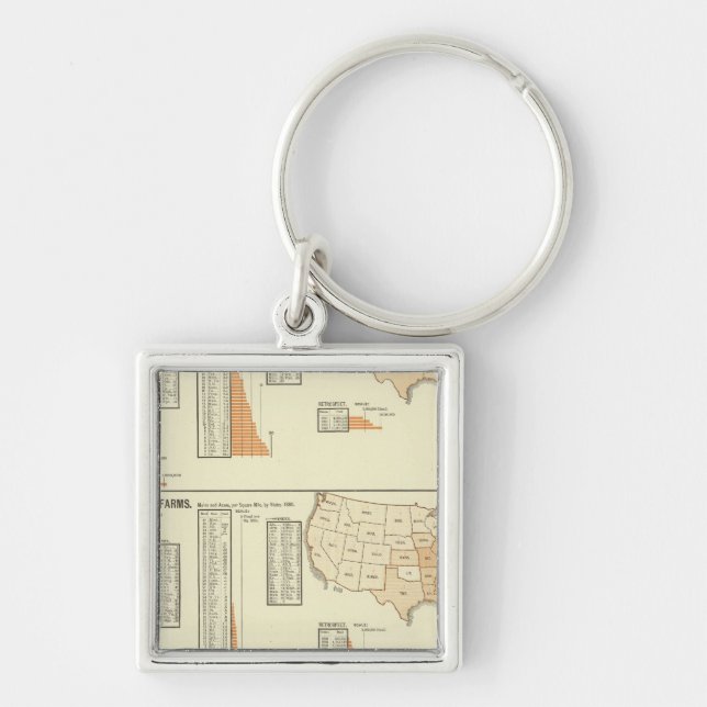 Chaveiro Cavalos, mulas, asinídeos, ovinos (Frente)