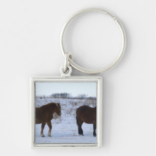 Chaveiro Cavalos no cabo Kiritappu, prefeitura de Hokkaido,