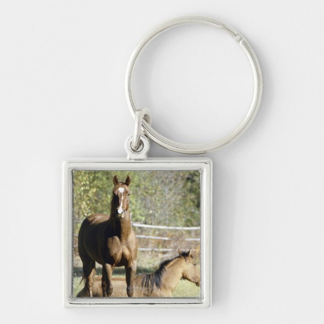 Chaveiro Cavalos no pasto (Frente)