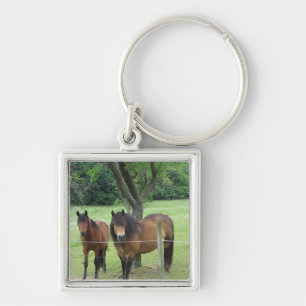 Chaveiro Cavalos no Pasto