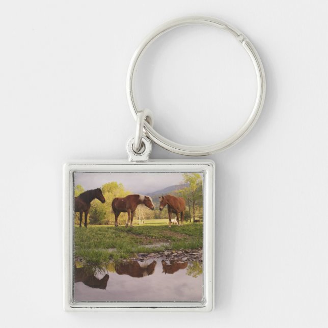 Chaveiro Cavalos refletidos em um pequeno riacho, Cades Cov (Frente)