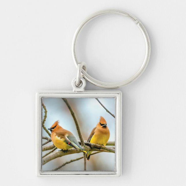 Chaveiro Cedar Waxwing - Foto Original (Frente)