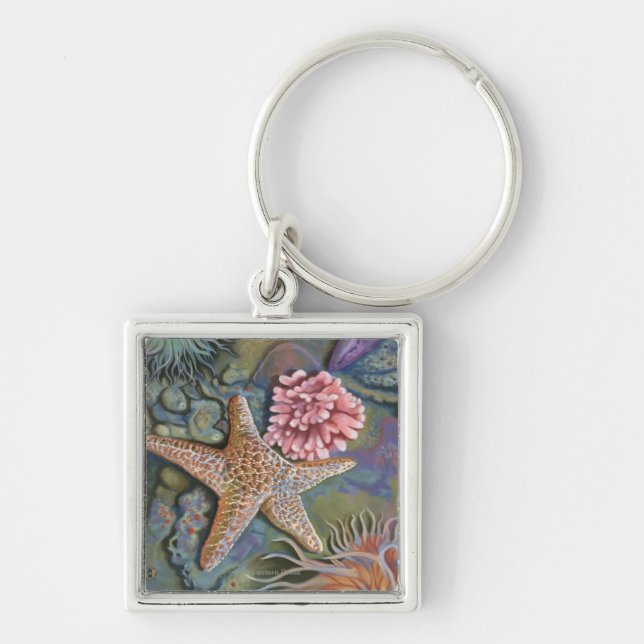 Chaveiro Cena de MassachusettsTidepool (Frente)