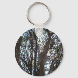 Chaveiro céu azul de carvalho e musgo