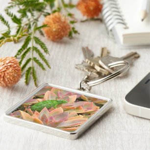 CHAVEIRO "CHAMELEON RESPEITANDO NA PLANTA SUCCULENTA"