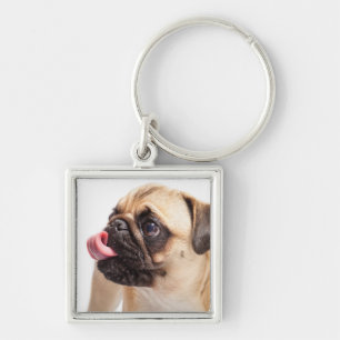 Chaveiro Chave Cachorro Cortado cadeia 1