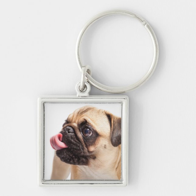 Chaveiro Chave Cachorro Cortado cadeia 1 (Frente)