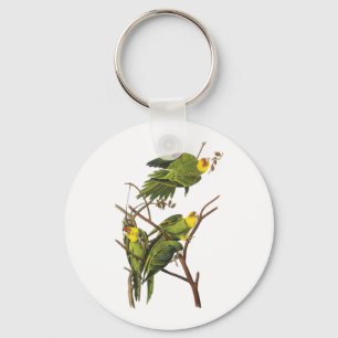Chaveiro Chaveiro: Parakeet - por John Audubon