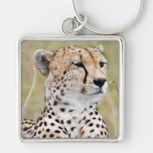 Chaveiro Cheetah