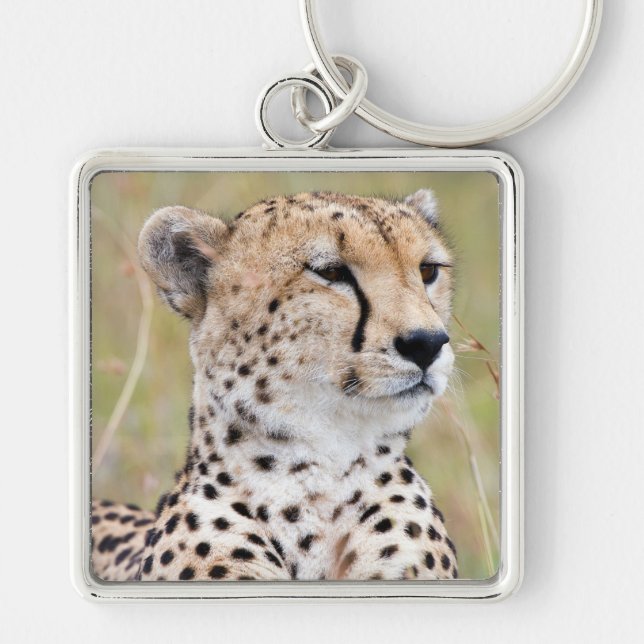 Chaveiro Cheetah (Frente)