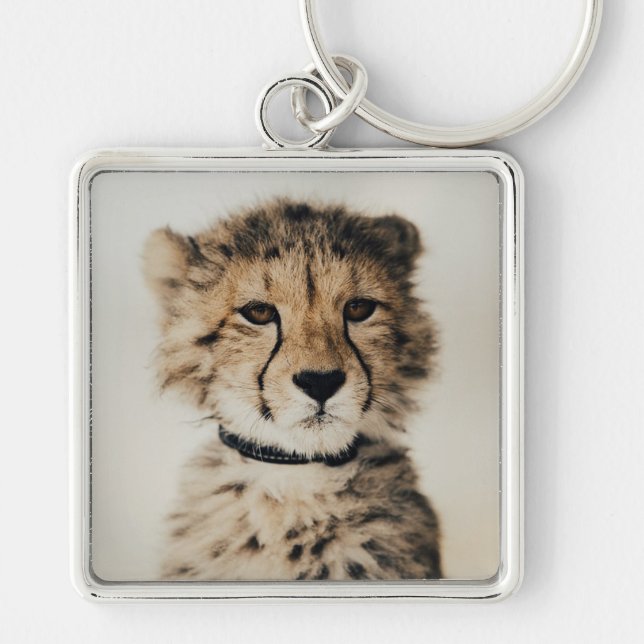 Chaveiro Cheetah Cub (Frente)