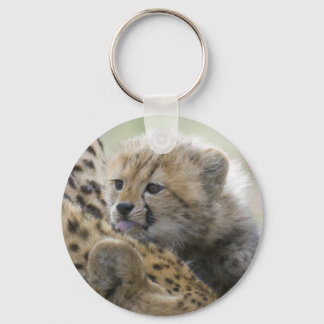 Chaveiro Cheetah Cub com mamãe