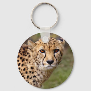 Chaveiro Cheetah Keyring