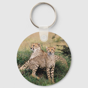 Chaveiro Cheetah Pair