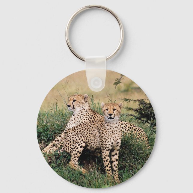 Chaveiro Cheetah Pair (Frente)