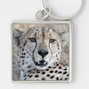 Chaveiro Cheetah Portrait
