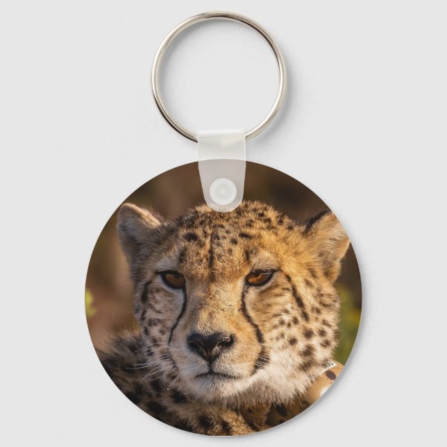 Chaveiro Cheetah Wildlife Big Cat (Frente)