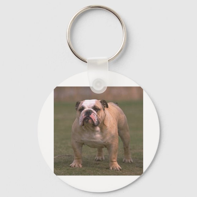 Chaveiro cheio de buldogue 2.png (Frente)