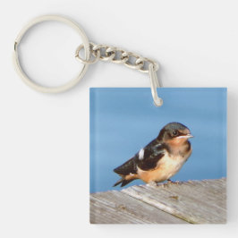 Chaveiro Chian de chave acrílica do Barn Swallow