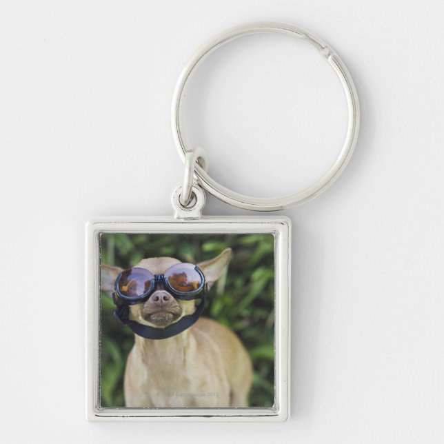 Chaveiro Chihuahua que veste óculos de proteção (Frente)