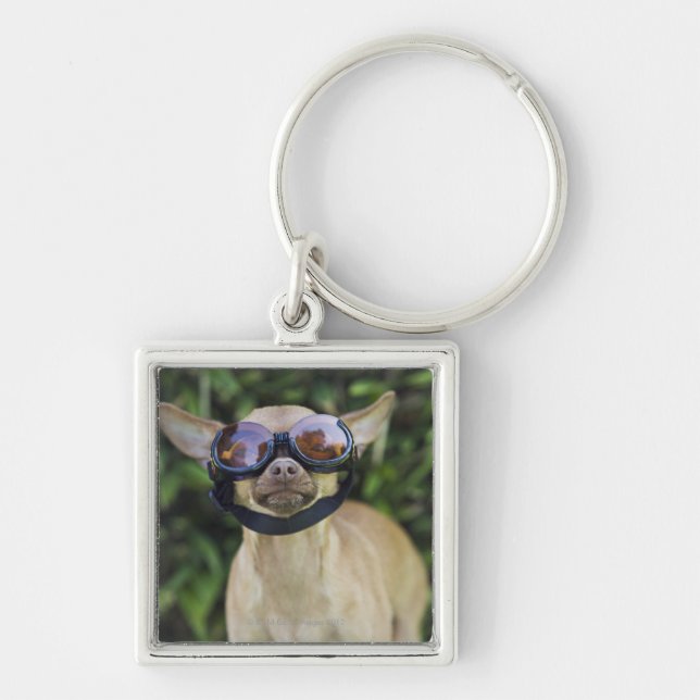 Chaveiro Chihuahua que veste óculos de proteção (Frente)