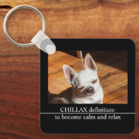 Chillax Chihuahua sonolento língua relaxada Foto