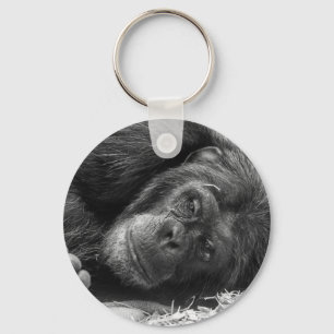 Chaveiro Chimpanzé