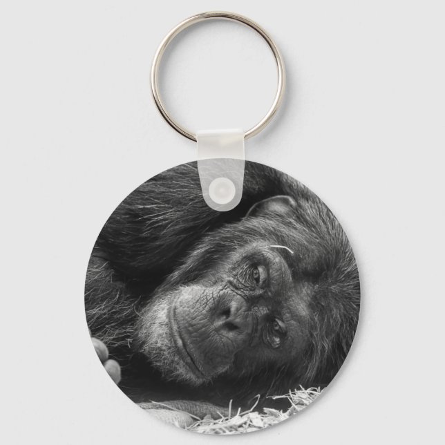 Chaveiro Chimpanzé (Frente)