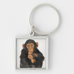 Chaveiro Chimpanzé (troglodytes da bandeja). Playfull novo