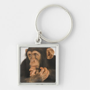 Chaveiro Chimpanzé (troglodytes da bandeja). Playfull novo