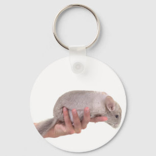 Chaveiro chinchilla
