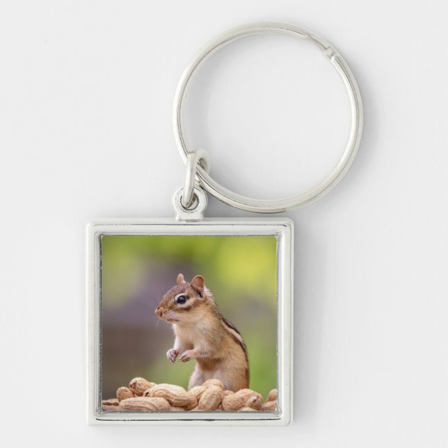 Chaveiro Chipmunk com amendoins (Frente)