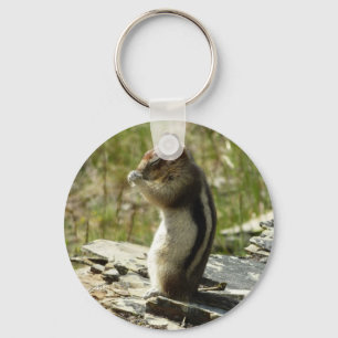Chaveiro Chipmunk no Parque Nacional Glacier II