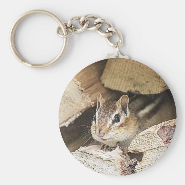 Chaveiro Chipmunk numa pilha de madeira (Frente)